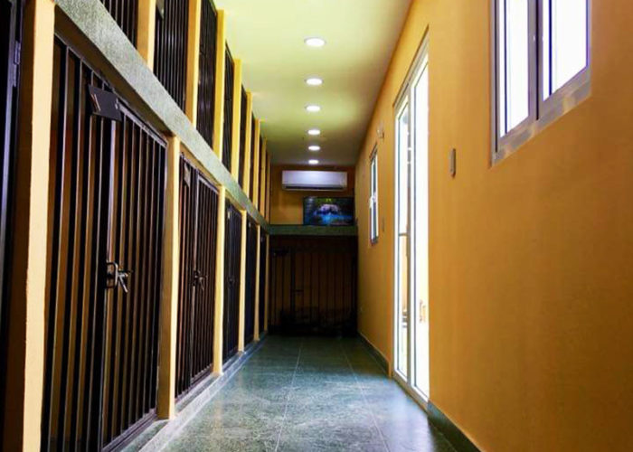 ac-kennels-03