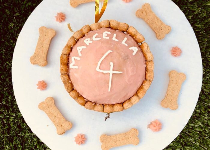 Dog Bakery Aruba Cake Dog Bakery Aruba Cake
