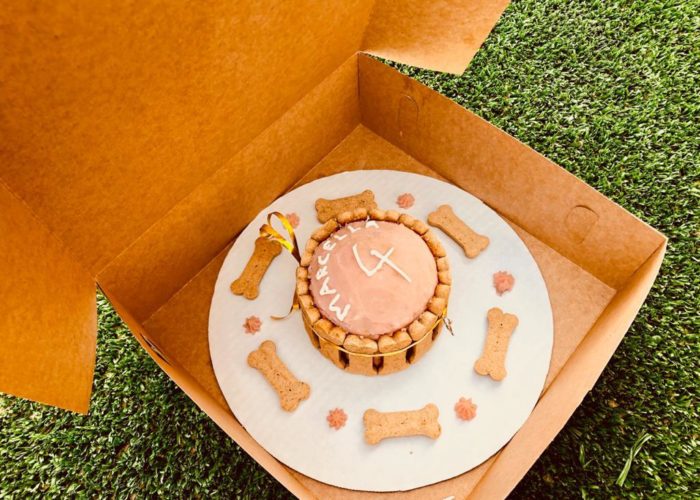 Dog Bakery Aruba Cake Dog Bakery Aruba Cake