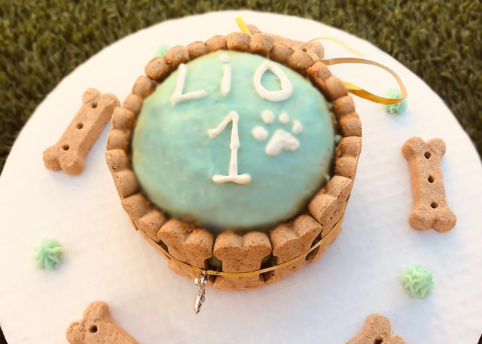 dog-bakery-aruba-cake-1 dog-bakery-aruba-cake-1