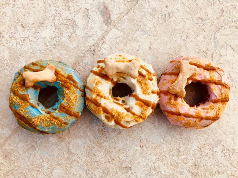 dog bakery aruba donut