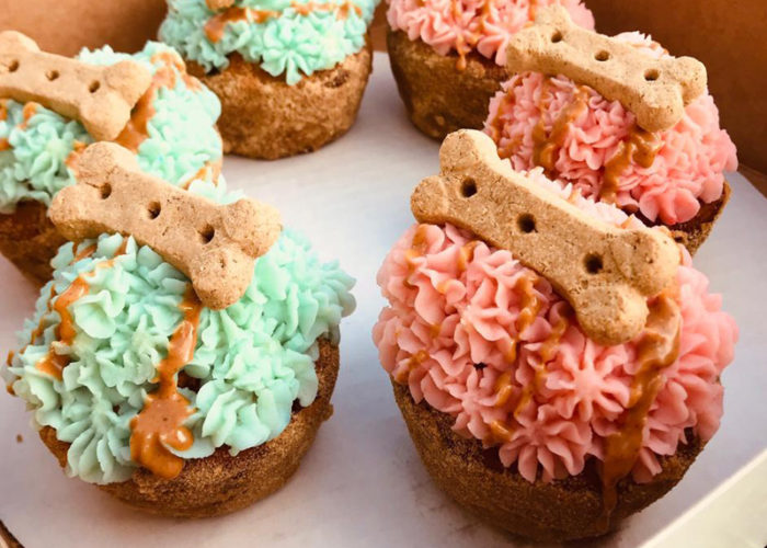 muffins-1 muffins-1