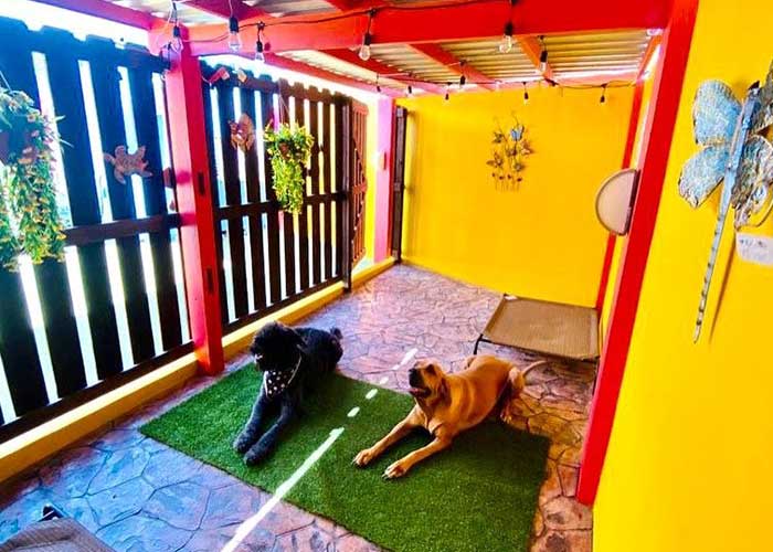 outside_kennels_2022_01