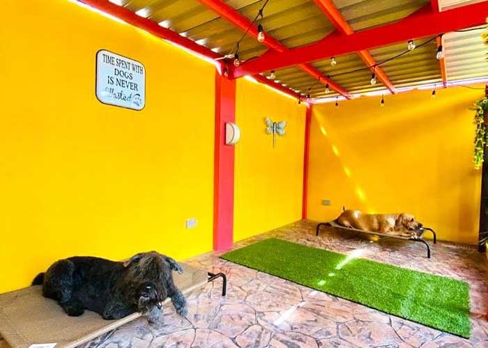 outside_kennels_2022_03