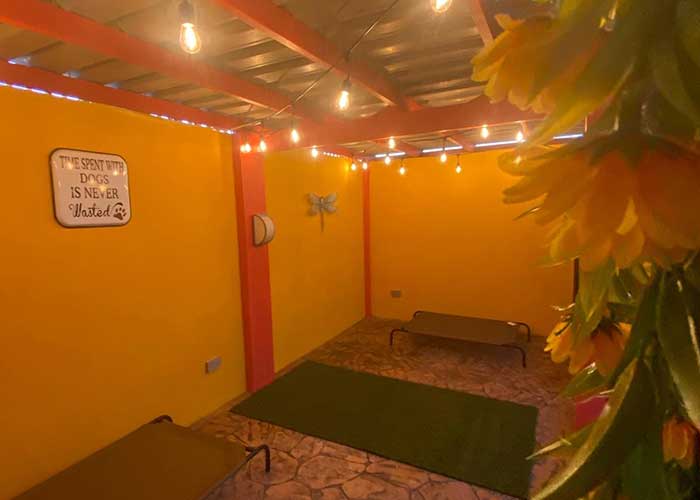 outside_kennels_2022_04