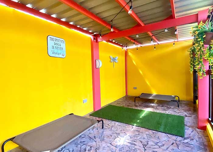 outside_kennels_2022_06